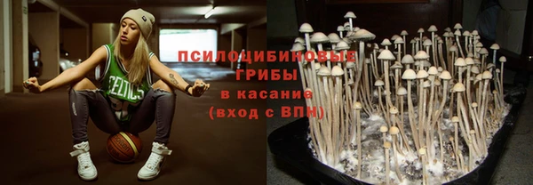трава Мегион