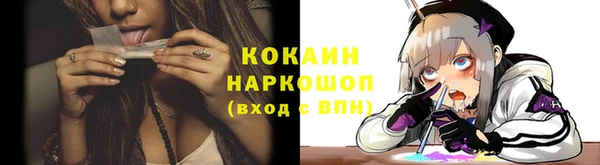крисы Медвежьегорск