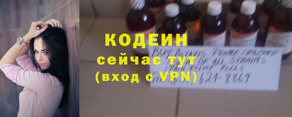 крисы Медвежьегорск
