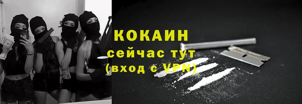 крисы Медвежьегорск
