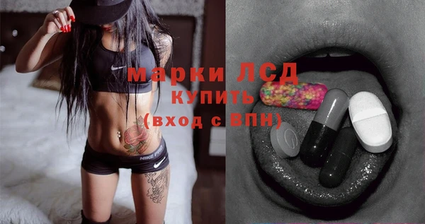 крисы Медвежьегорск