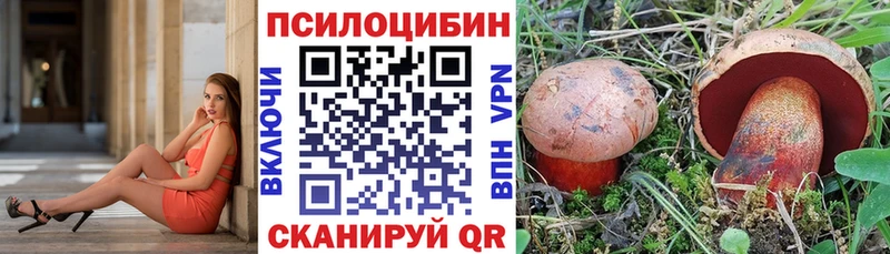 продажа наркотиков  hydra как зайти  Галлюциногенные грибы ЛСД  Алупка 